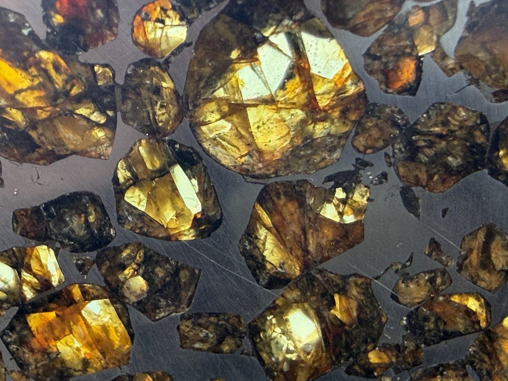 Seymchan pallasite, macro detail of large olivine crystals with visible cleavage steps