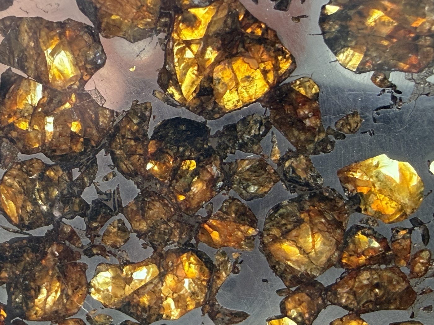 Seymchan pallasite, macro detail of amber and gold olivine against the polished metal
