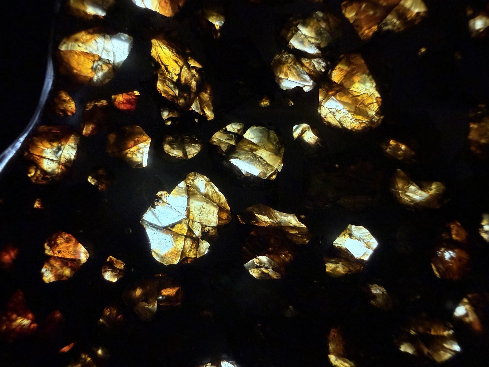 Seymchan pallasite, backlit macro detail of scattered translucent olivine crystals