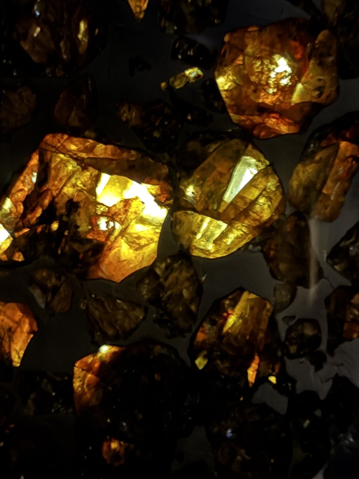 Seymchan pallasite, backlit macro detail of amber olivine transmitting light
