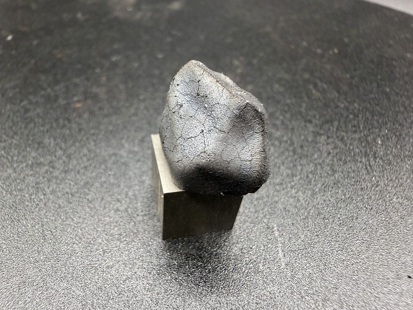 Tarda C2-ungrouped carbonaceous chondrite, 2.03g individual, fresh fusion crust with contraction cracks