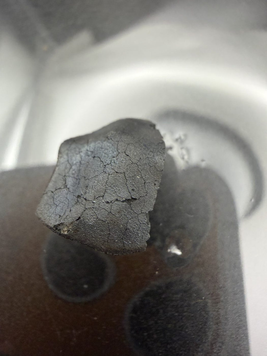Tarda C2-ungrouped carbonaceous chondrite, 2.03g individual, fresh fusion crust with contraction cracks alternate side view