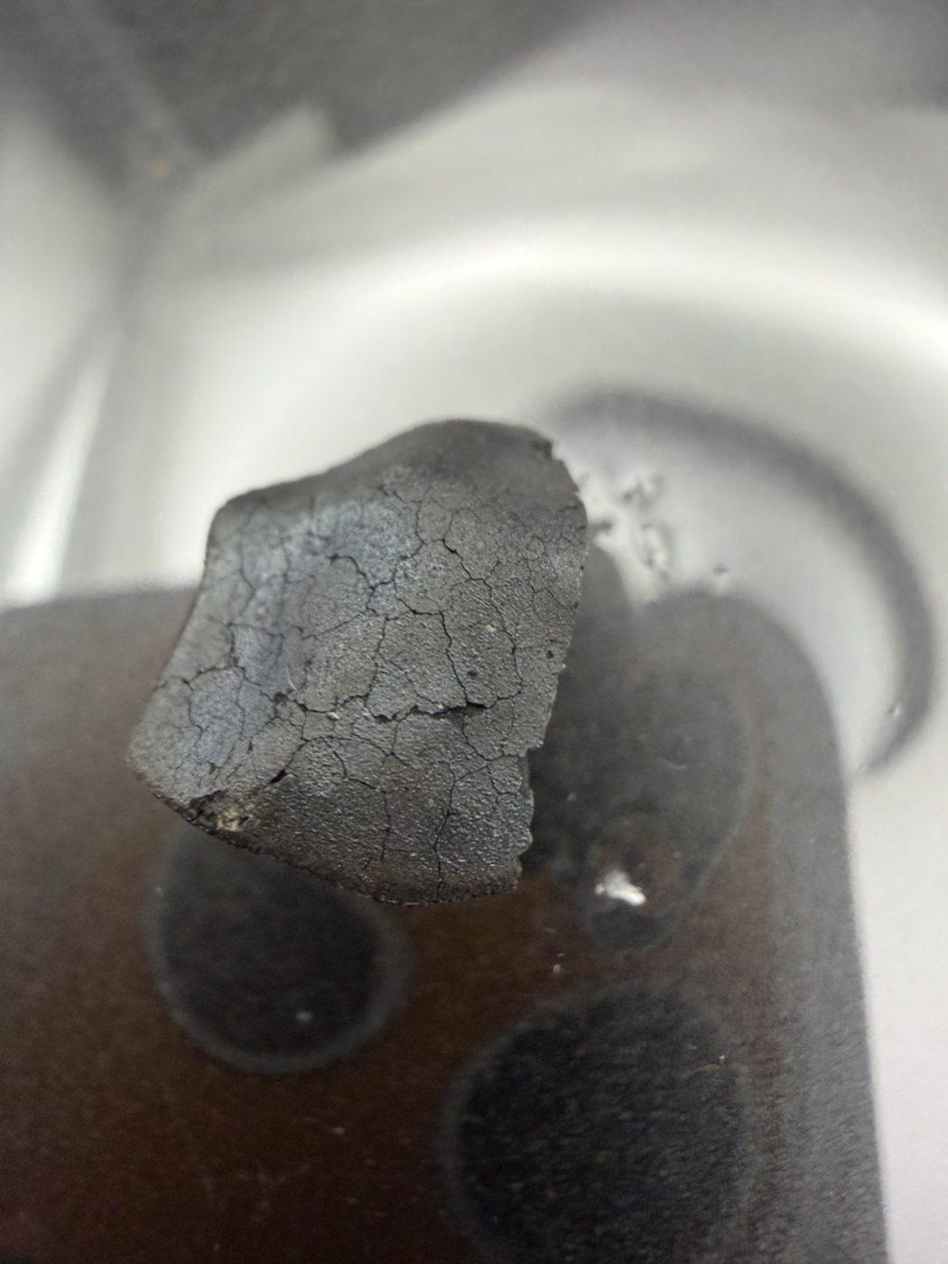 Tarda C2-ungrouped carbonaceous chondrite, 2.03g individual, fresh fusion crust with contraction cracks alternate side view