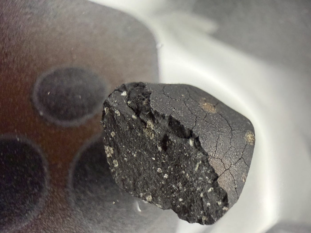 Tarda C2-ungrouped carbonaceous chondrite, 2.03g individual, exposed matrix face beside fusion crust alternate view