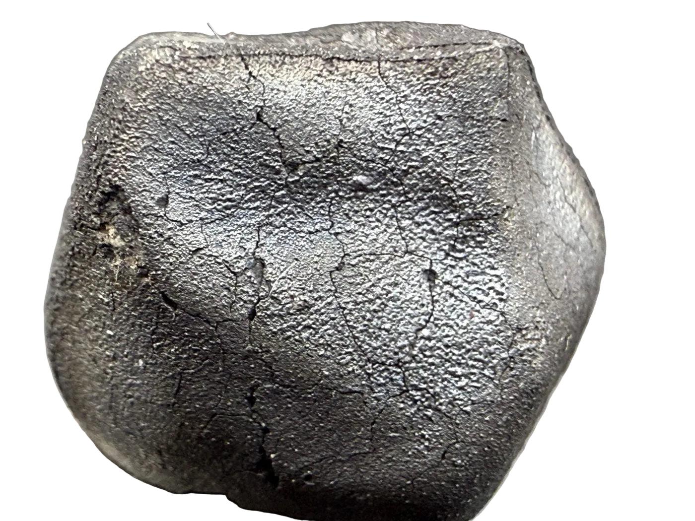 Tarda C2-ungrouped carbonaceous chondrite, 2.03g individual with fresh black fusion crust, white background, Morocco