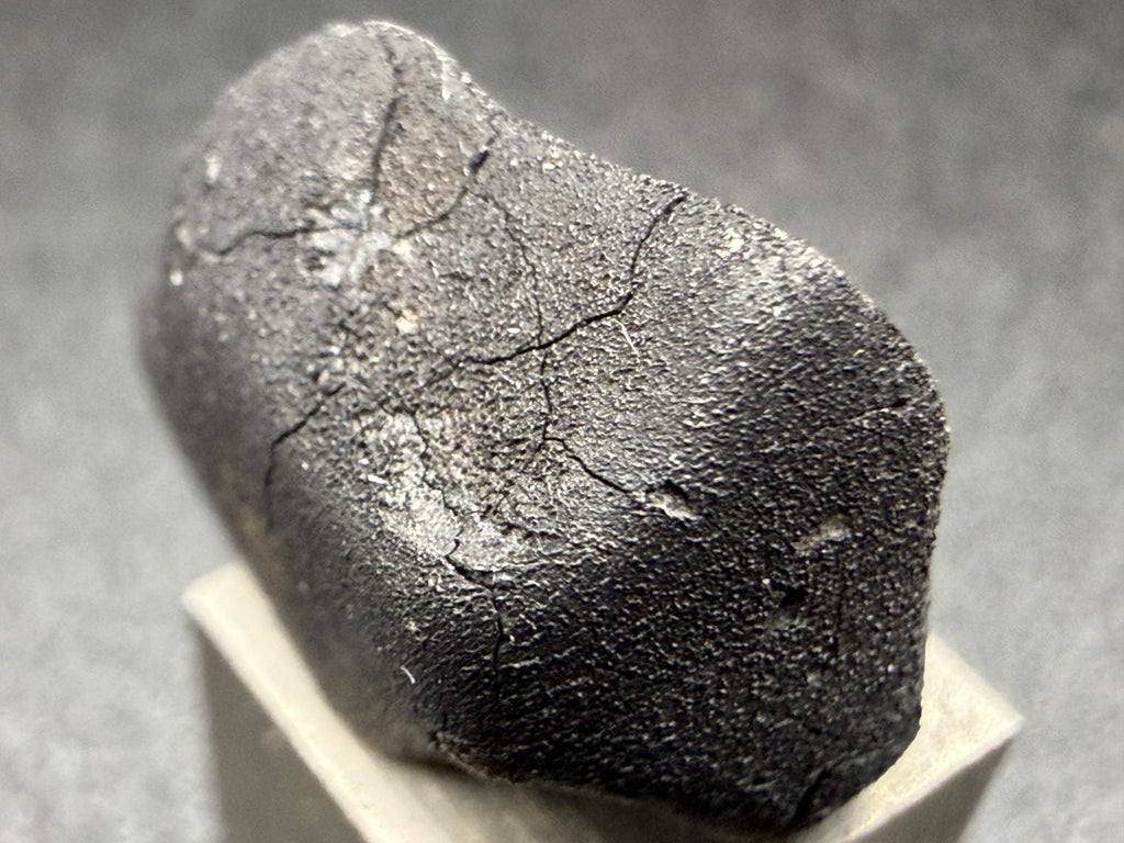 Tarda C2-ungrouped carbonaceous chondrite, 2.03g individual top view on a 1cm scale cube