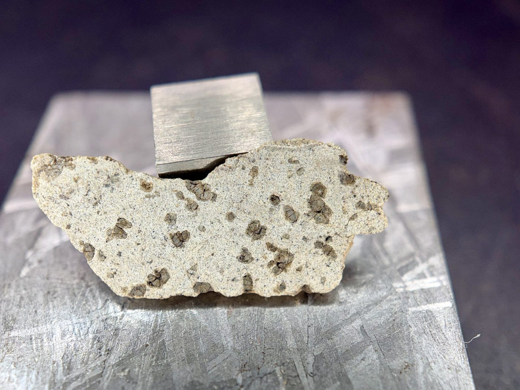 Tarkint 001 Martian meteorite full slice standing upright, 1.27 g, second cut face