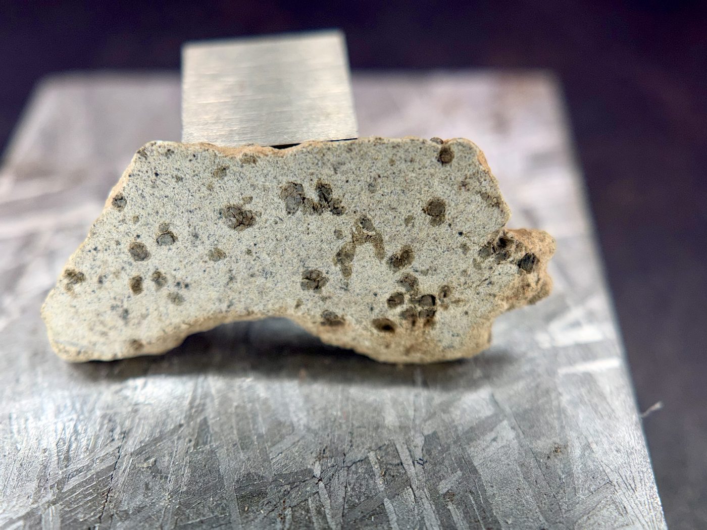 Tarkint 001 Martian meteorite 1.27 g full slice, reverse cut face view