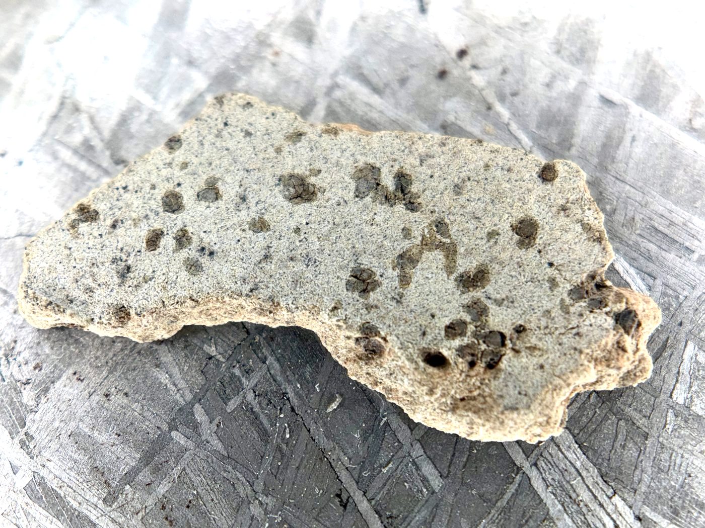 Tarkint 001 Martian meteorite full slice, 1.27 g, cut face showing brown-green olivine phenocrysts in light tan groundmass